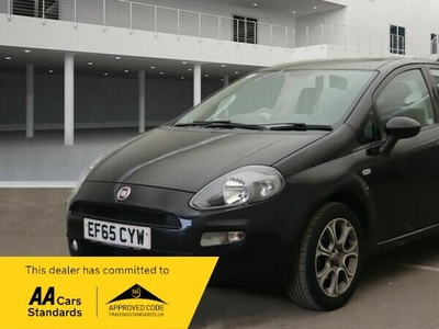Used Fiat Punto for Sale
