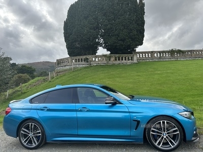 Used 2017 BMW 4 Series GRAN COUPE in Warrenpoint