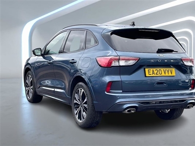 Used 2020 Ford Kuga 2.0 EcoBlue mHEV ST-Line 5dr in Rayleigh