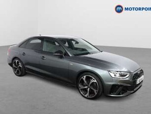 Audi, A4 2023 35 TFSI Black Edition 4dr S Tronic