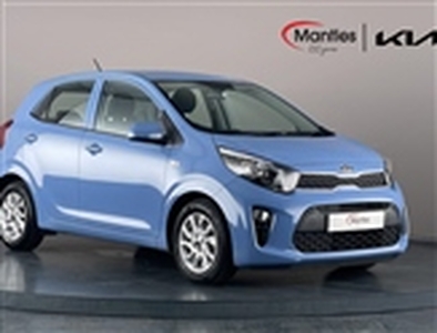 Used 2019 Kia Picanto 1.25 2 5dr Auto in South East