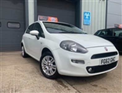 Used 2012 Fiat Punto EASY 1.2 **** RAC APPROVED **** RAC WARRANTY **** in Burnham On Crouch