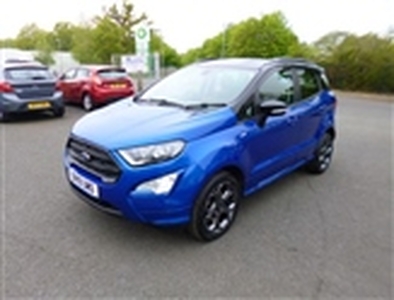 Used 2019 Ford EcoSport 1.0 ST-LINE AUTOMATIC 125 BHP in West Sussex