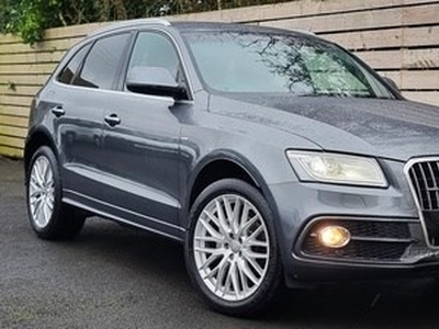 Audi Q5 (2015/64)