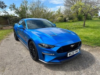 Ford Mustang (2020/20)