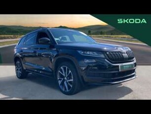 Skoda, Kodiaq 2019 (19) 2.0 TDI Sport Line 4x4 5dr [7 Seat] - SUV