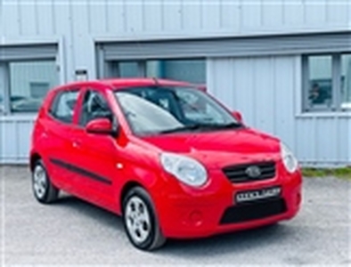Used 2010 Kia Picanto 1.1 STRIKE 5d 64 BHP in Manchester