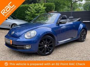 Volkswagen, Beetle 2017 (17) 1.2 TSI 3dr
