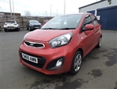 Used 2015 Kia Picanto 1.0 1 5d 68 BHP in Kelso