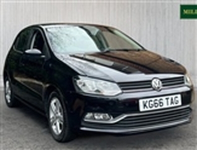 Used 2016 Volkswagen Polo 1.2 MATCH TSI 5d 89 BHP in Surrey