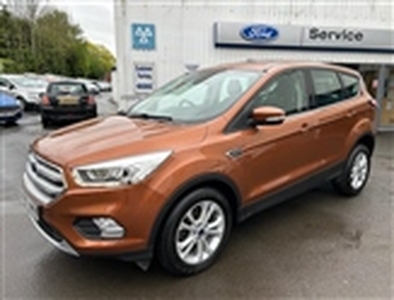 Used 2017 Ford Kuga 1.5 TDCi Automatic Titanium in Leominster