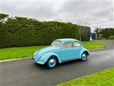 Used 1957 Volkswagen Beetle in Portadown