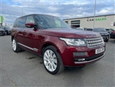 Used 2016 Land Rover Range Rover 4.4 SD V8 Autobiography in Staverton