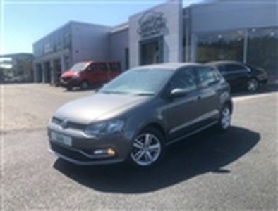 Used 2017 Volkswagen Polo 1.2 TSI Match 5dr DSG in Northern Ireland