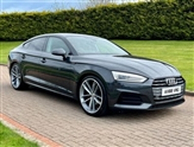 Used 2019 Audi A5 40 TDI Sport 5dr S Tronic in Northern Ireland