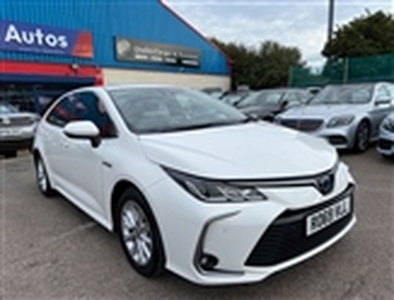 Used 2019 Toyota Corolla in South East