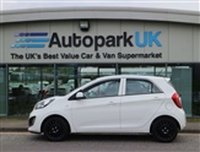 Used 2012 Kia Picanto 1.0 1 5d 68 BHP in County Durham
