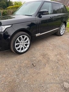 Used 2018 Land Rover Range Rover DIESEL ESTATE in Newry