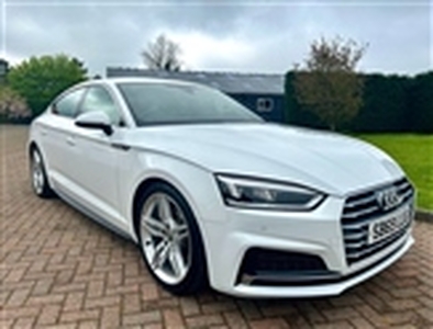 Used 2019 Audi A5 2.0 SPORTBACK TFSI S LINE MHEV 5d 148 BHP in Newcastle-upon-Tyne
