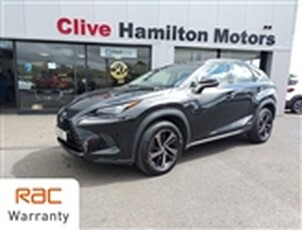 Used 2019 Lexus NX 2.5 300H SPORT 5d 195 BHP in Cookstown