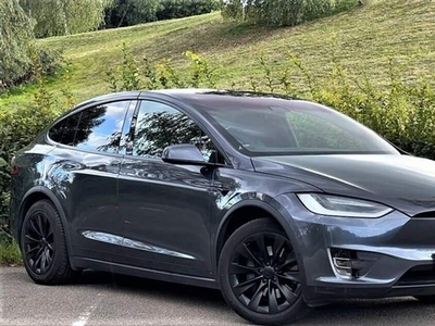 Tesla Model X SUV (2019/19)