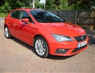 Used 2017 Seat Leon 1.4 TSI XCELLENCE Technology in Laughterton