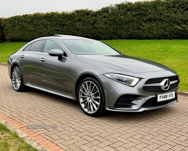Mercedes-Benz CLS Coupe (2018/68)
