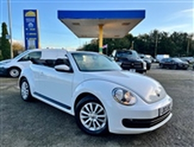 Used 2013 Volkswagen Beetle 1.6 TDI BlueMotion Tech in King's Lynn