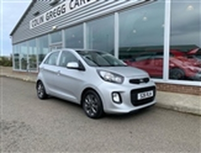 Used 2015 Kia Picanto 1.25 2 5dr Auto in Kirkwall