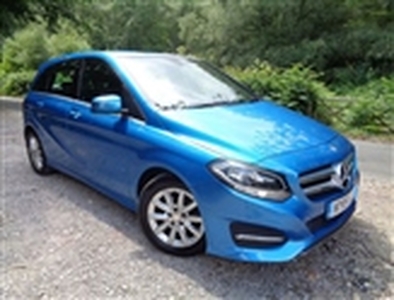 Used 2015 Mercedes-Benz B Class B180 CDI SE 5dr Auto in South East