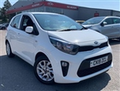 Used 2019 Kia Picanto 1.25 2 5dr in Wales