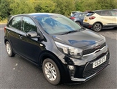 Used 2020 Kia Picanto 1.25 2 5dr in Wales