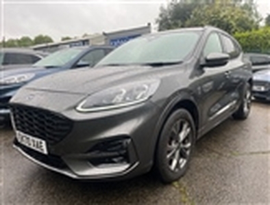 Used 2020 Ford Kuga 2.0 EcoBlue 190 ST-Line Edition 5dr Auto AWD in Chelmsford