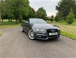 Used 2014 Audi A5 2.0 TDI S LINE SPECIAL EDITION 2d 175 BHP in Belfast