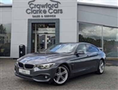 Used 2019 BMW 4 Series in Northern Ireland