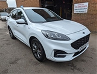 Used 2020 Ford Kuga 1.5 EcoBoost 150 ST-Line First Edition 5dr in Leicester