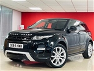 Used 2014 Land Rover Range Rover Evoque SD4 DYNAMIC LUX in Aberdare