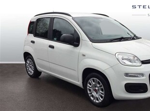 Used Fiat Panda 1.2 Easy 5dr in Greater Manchester