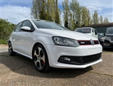 Used 2012 Volkswagen Polo GTI in Rochester