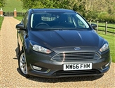 Used 2016 Ford Focus TITANIUM TDCI in Faringdon