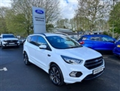 Used 2019 Ford Kuga 2.0 TDCi 180 ST-Line 5dr Auto in Kelso