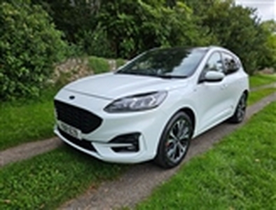 Used 2020 Ford Kuga in Wales