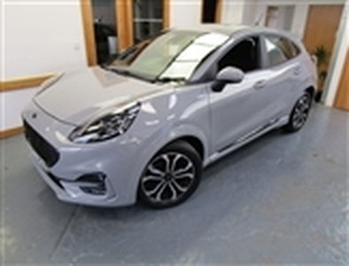 Used 2020 Ford Puma 1.0 T EcoBoost MHEV ST-Line in Leominster