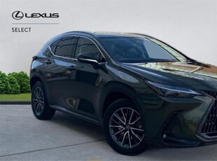 2022 Lexus NX