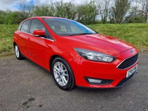 Ford, Focus 2015 1.0 EcoBoost 125 Zetec 5dr, finance available