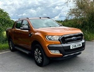 Used 2016 Ford Ranger 3.2 TDCi Wildtrak Pickup 4dr Diesel Auto 4WD Euro 5 (200 ps) in Cuffley