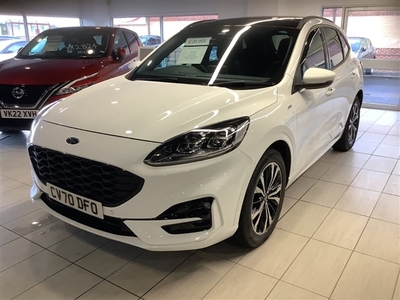 Used 2020 Ford Kuga 2.0 EcoBlue mHEV ST-Line X 5dr in Llanelli