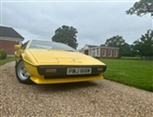 Used 1980 Lotus Esprit 2200 in Faringdon