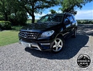 Used 2012 Mercedes-Benz M Class ML250 BLUETEC SPORT 204 BHP AUTOMATIC in Hockley