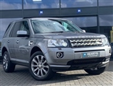 Used 2013 Land Rover Freelander 2.2 SD4 HSE LUX 5dr Auto in East Midlands